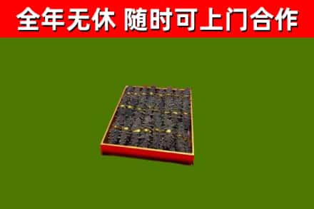 青原回收海参